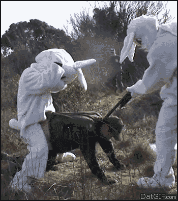 pas forcément bon ménage en fait... Rrrrrrrrraaaaah les vaches ;)  ...ah oui ...toute ressemblance avec une personne, un rider poilu par ex, ne serait pas vraiment proche de la réalité qui fut bien pire ;D