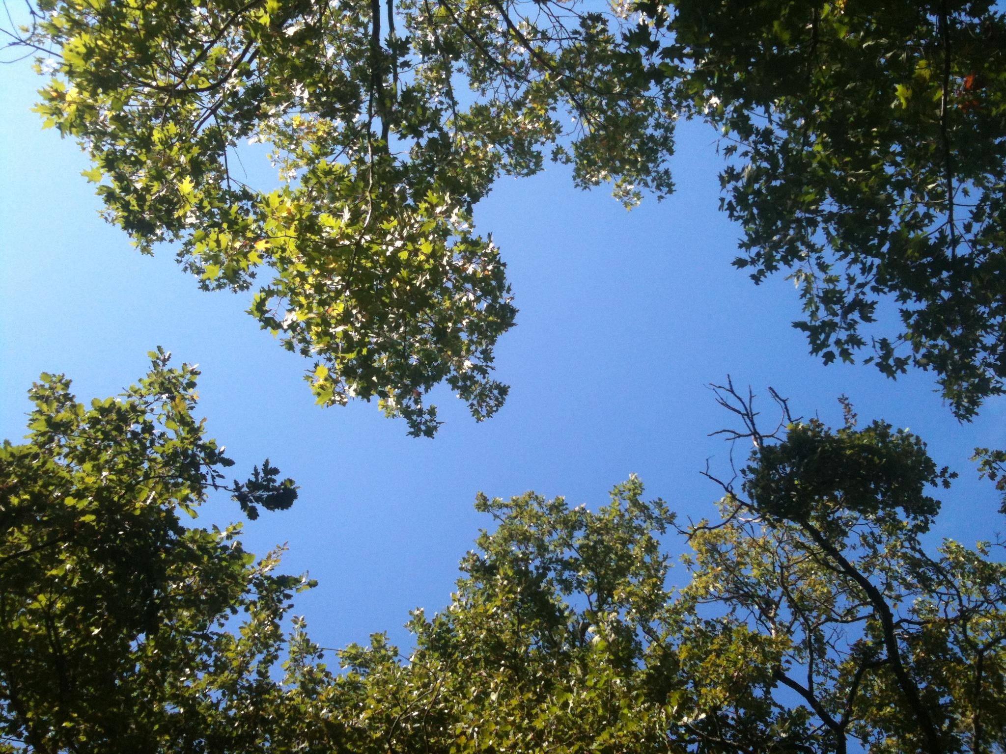 La campagne