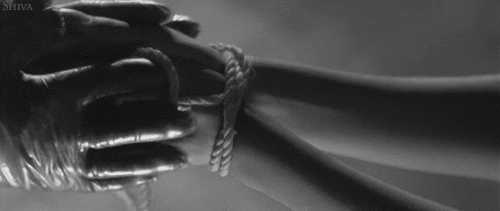 Bonnes fêtes.gif