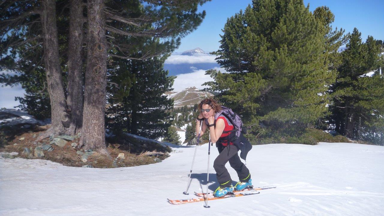 Chamchaude au fond.jpg