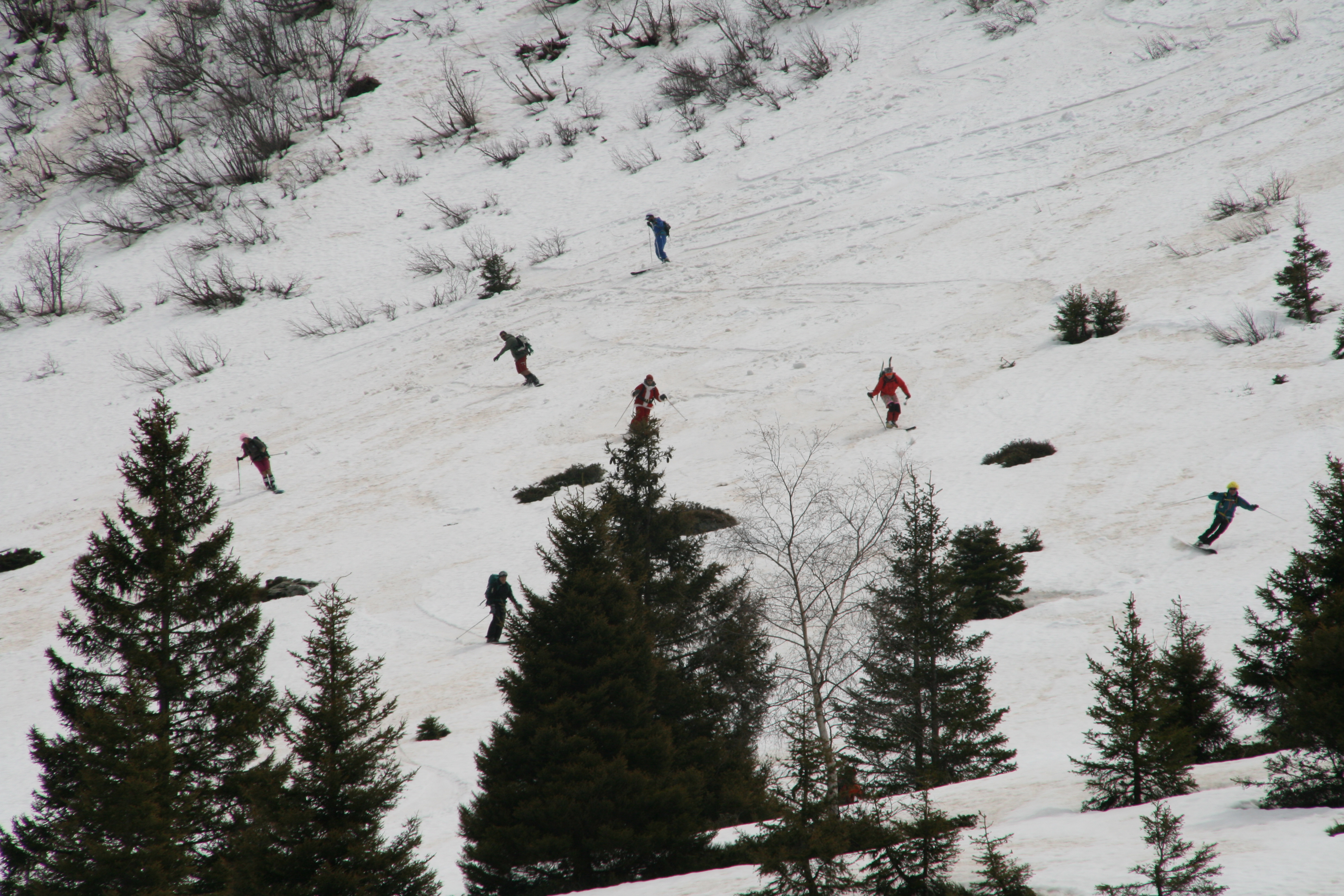 un bout de meute affamée
