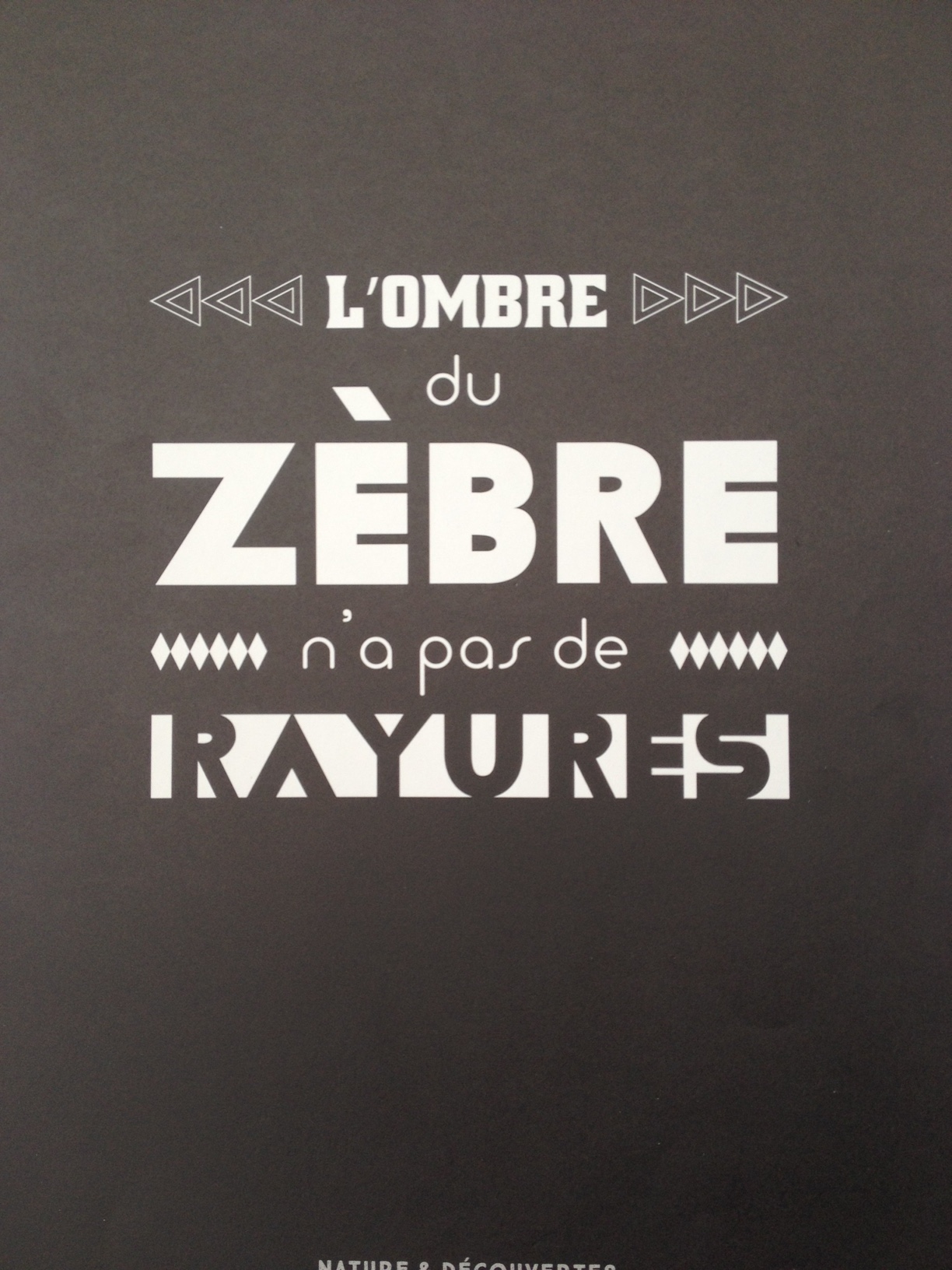 L'ombre du Zèbr.JPG