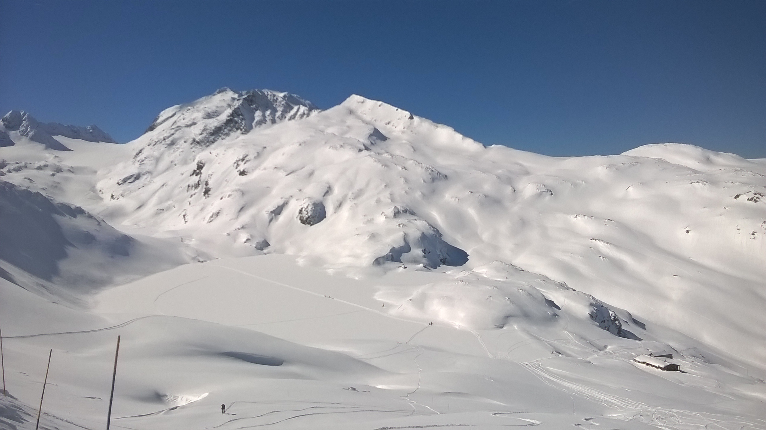 avec le refuge pour le zèbro