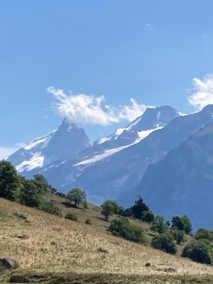 862D5181-BBD7-4AA5-BDF7-85A1143B7D02.jpeg
