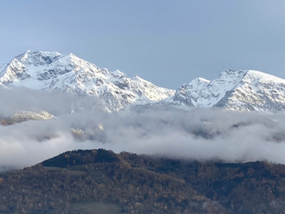 EAE9C208-B66B-40CB-82CF-728C0D3D1A69.jpeg