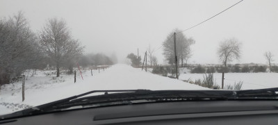 IMG20211128131347.jpg