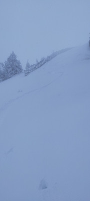 IMG20211128144806.jpg