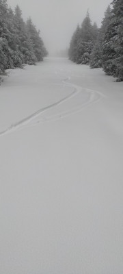 IMG20211128145016.jpg