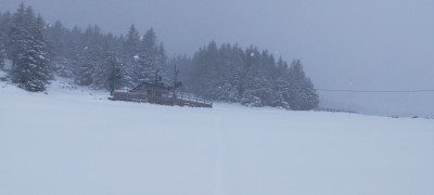 IMG20220402144158.jpg