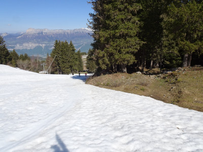 D Oudis 28 04 22 (1).JPG