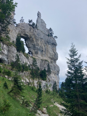 Arches de Chartreuse (5).jpg