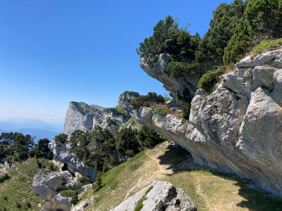 Arches de Chartreuse (7).jpg