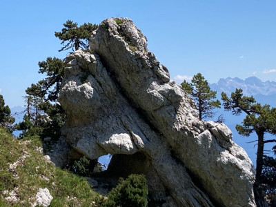 Arches de Chartreuse (13).jpg