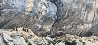 Arches de Chartreuse (14).jpg