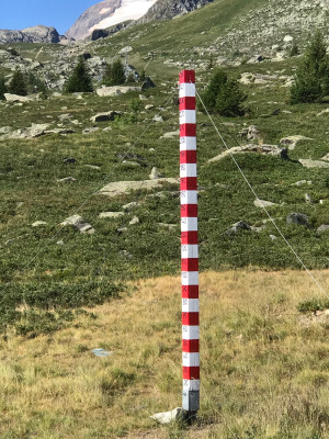 Pas de neige en vue