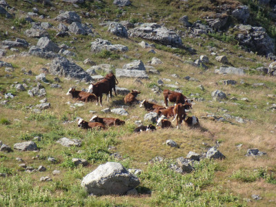 LesAiguilles d'Arves (14).JPG
