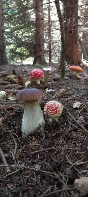 20220922_154925.jpg