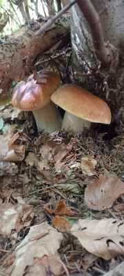 20220922_151019.jpg