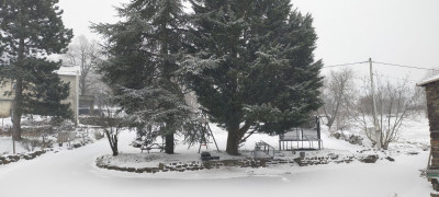 IMG20230302083107.jpg