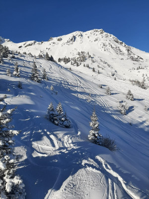 WhatsApp Image 2025-01-28 at 08.53.51.jpeg