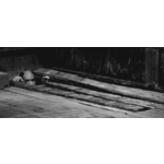 tout le monde dehors y'a le soleil qui r'vient au Pays.gif