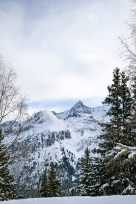 Monoboard Trophy_ Les 7 Laux_24012026_Marie EL HAJAL-27.jpg