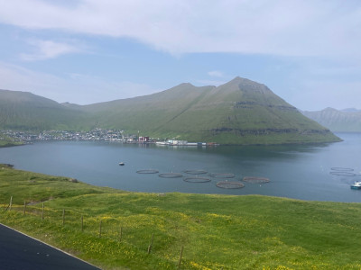 IMG_1068.jpeg