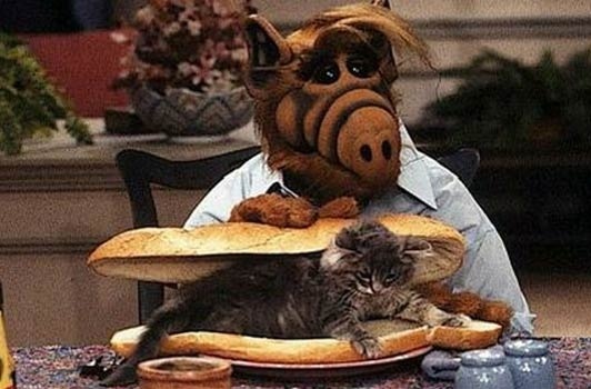 Alf a une vie dissolue il aime le ski comme il aime les chats.jpg
