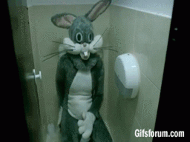 lapin déraille.gif