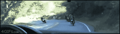 vélo cho.gif