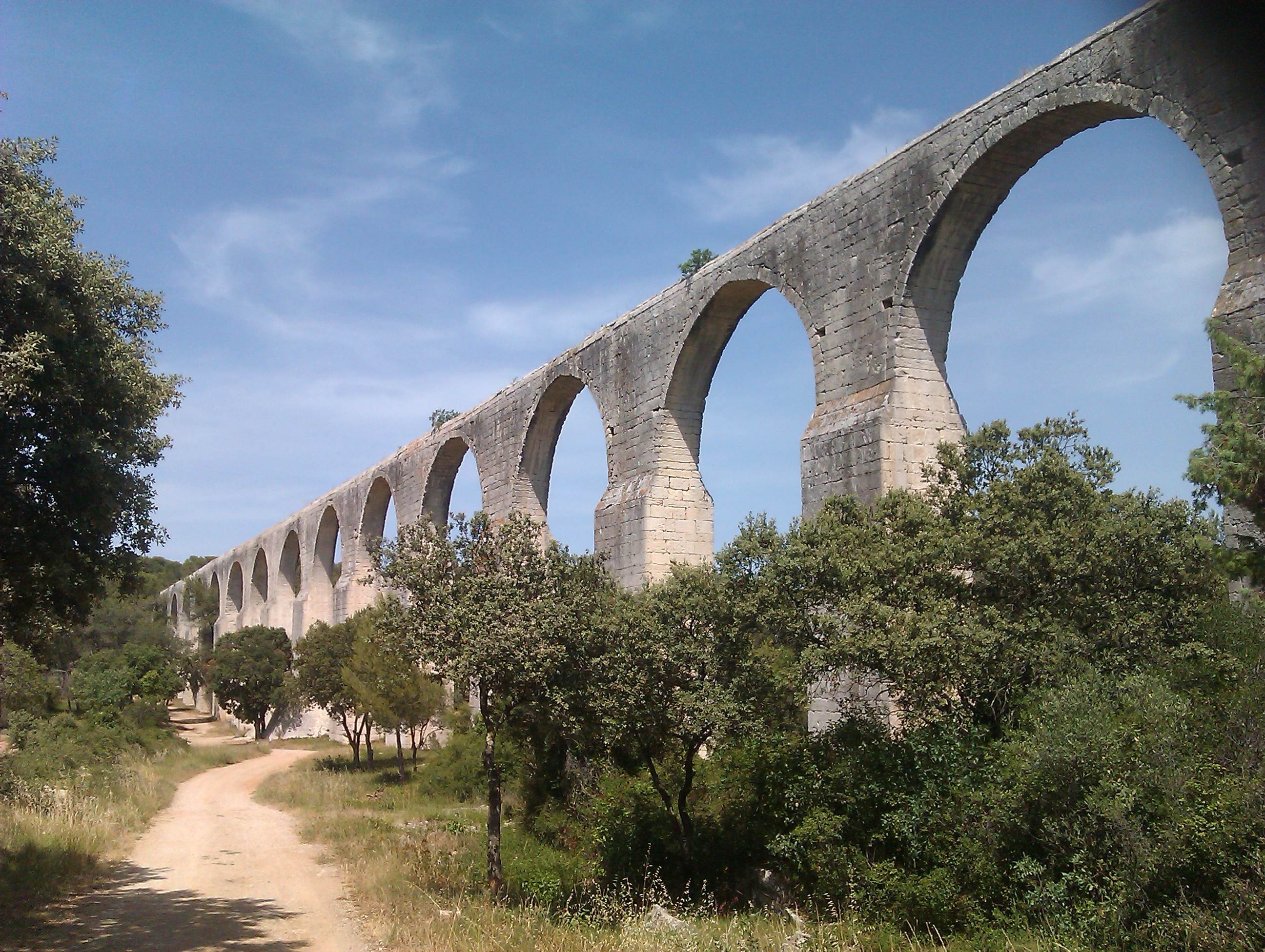 IMAG0395.jpg