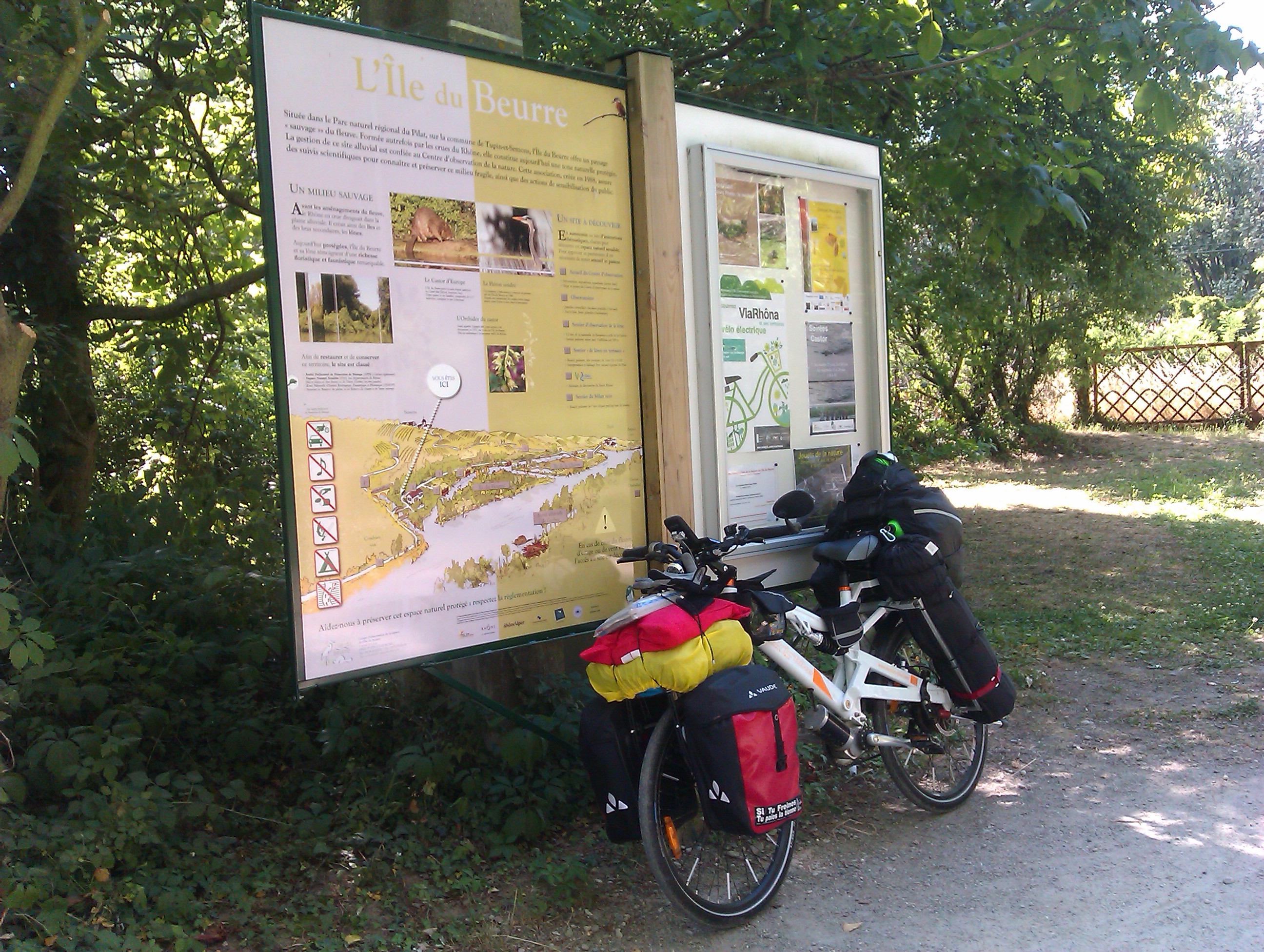 IMAG0379.jpg