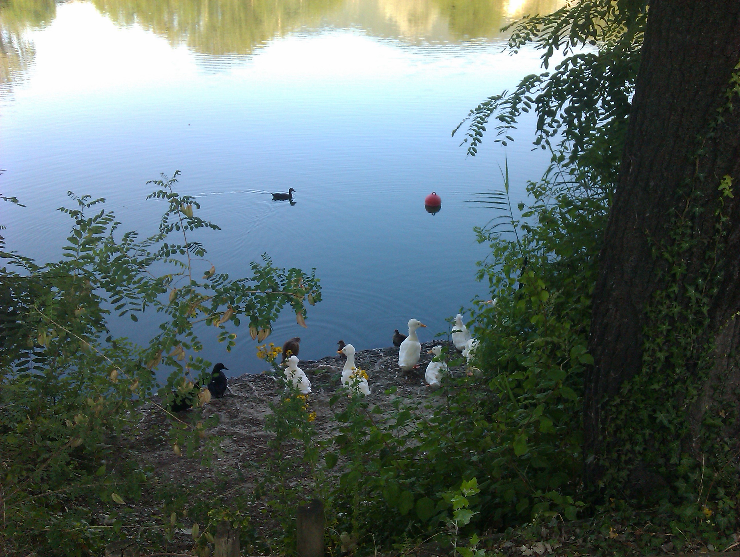 IMAG0385.jpg