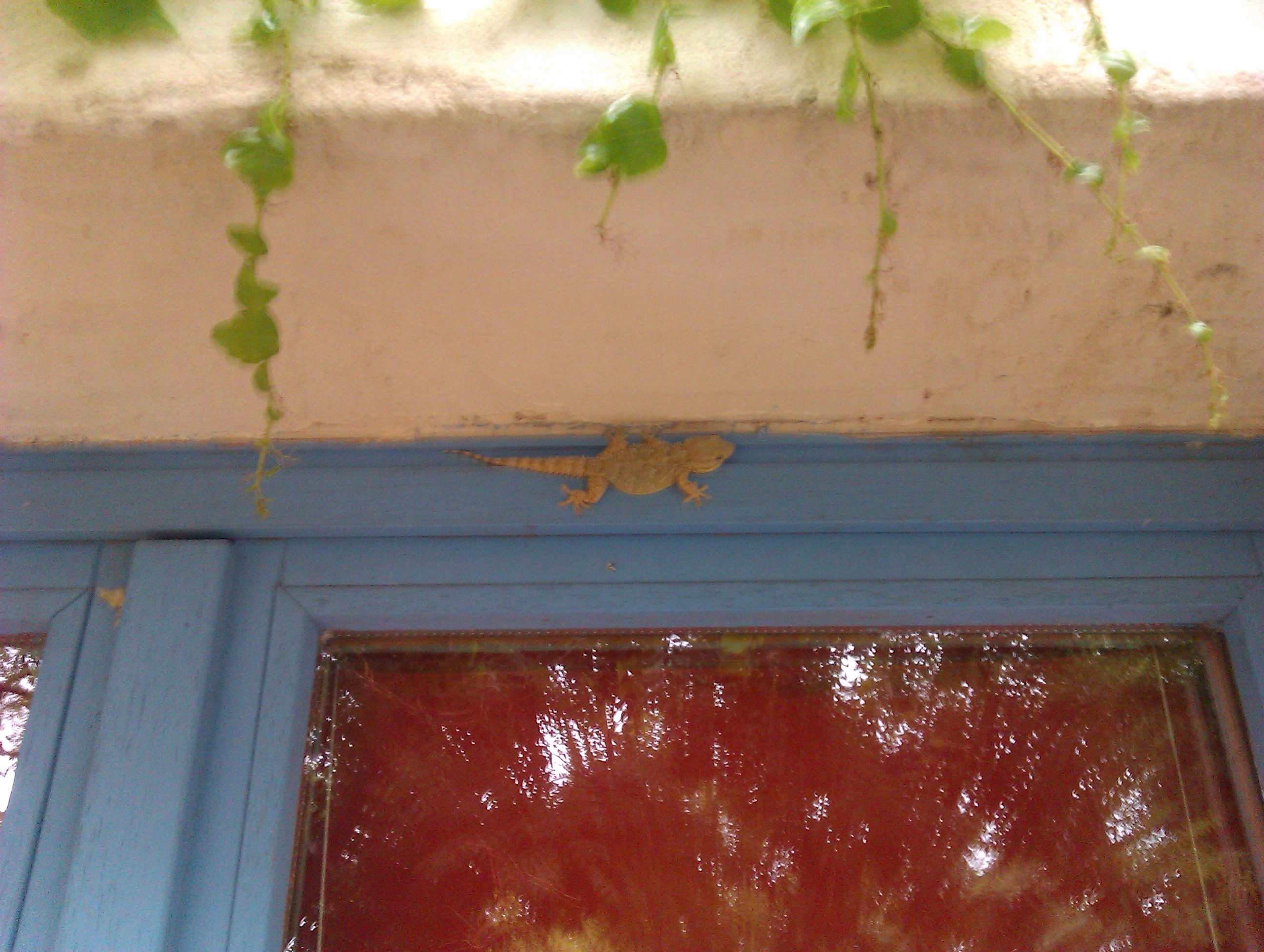IMAG0402.jpg