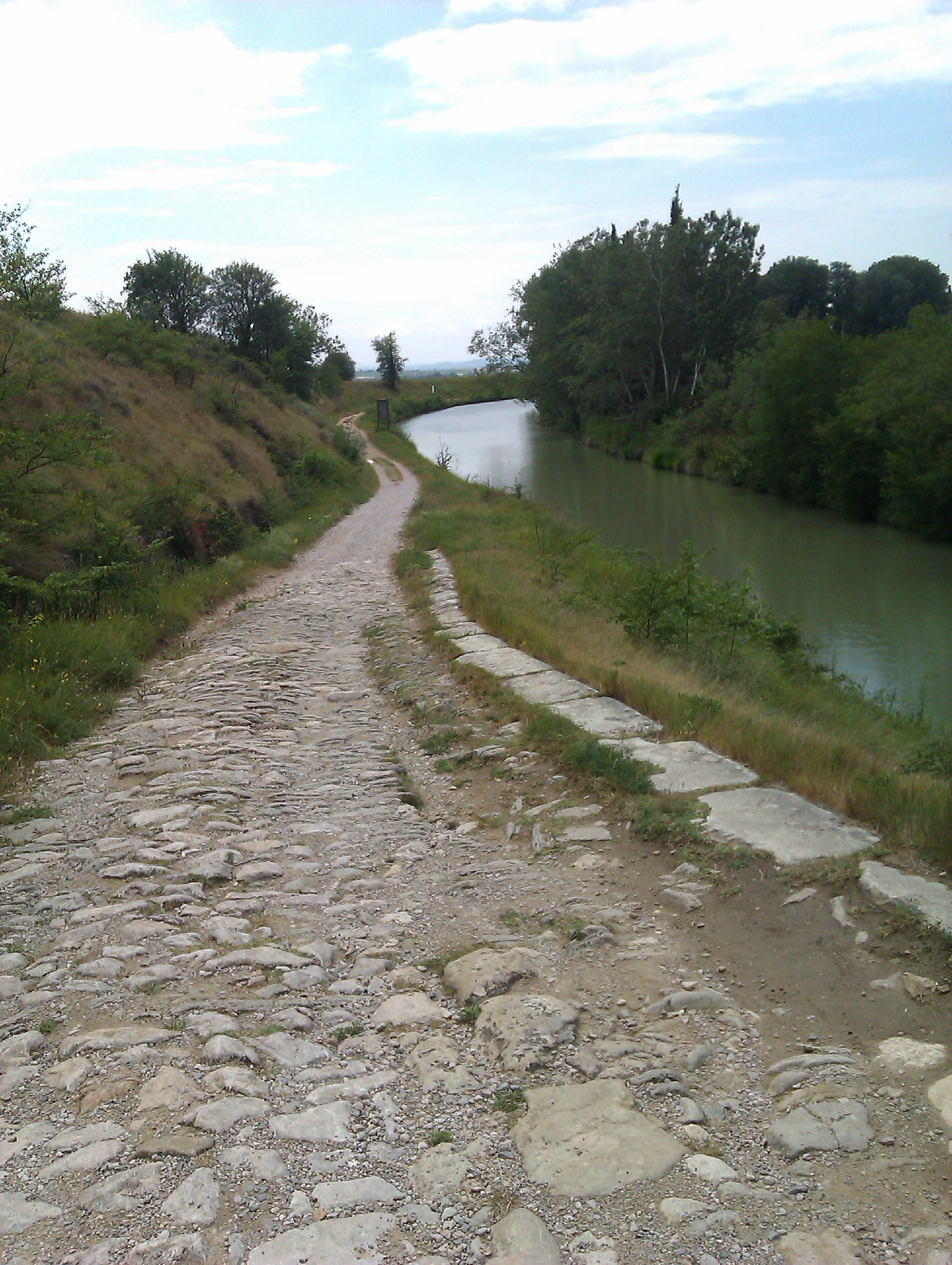 IMAG0407.jpg