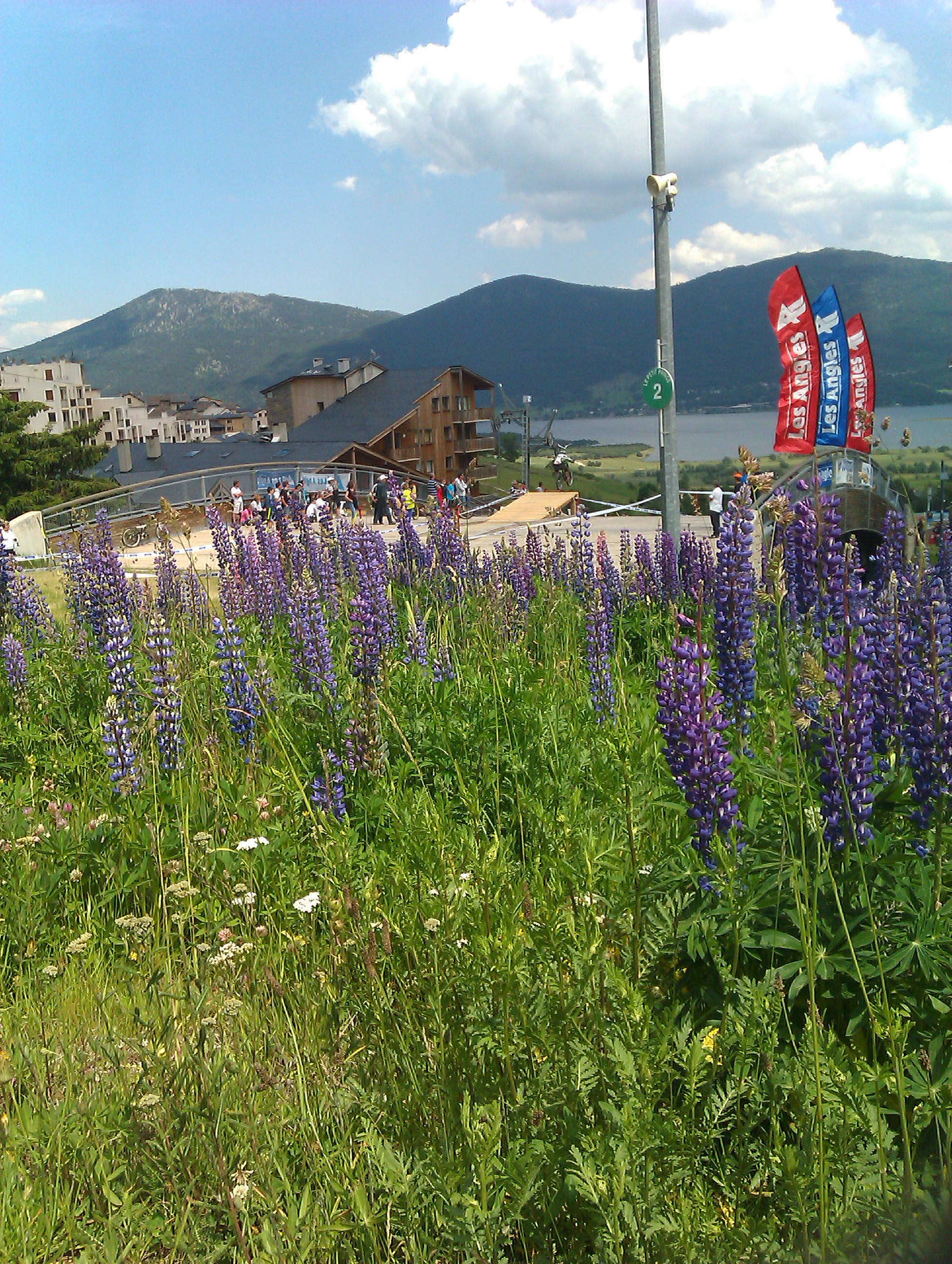 IMAG0427.jpg