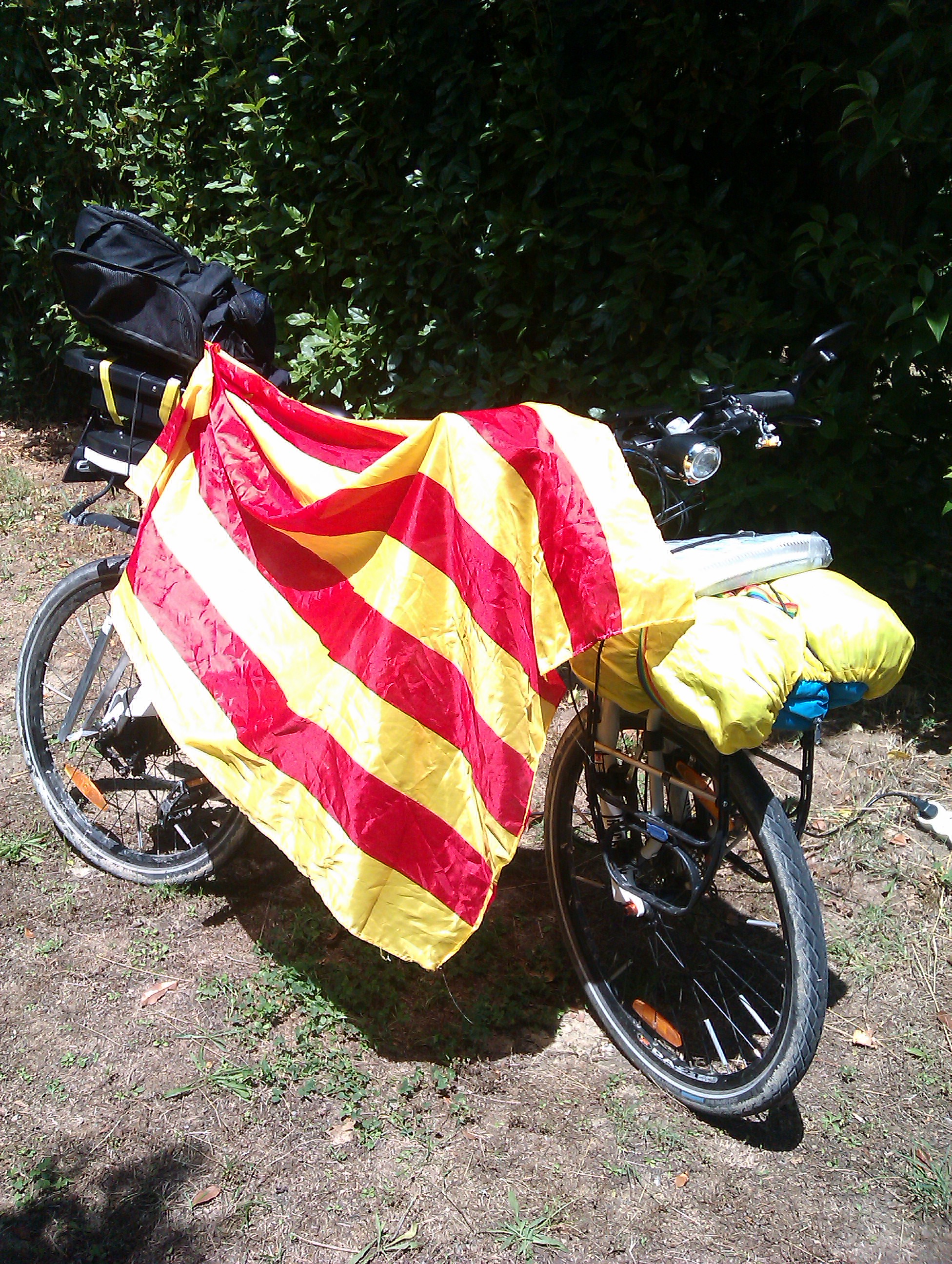 IMAG0431.jpg