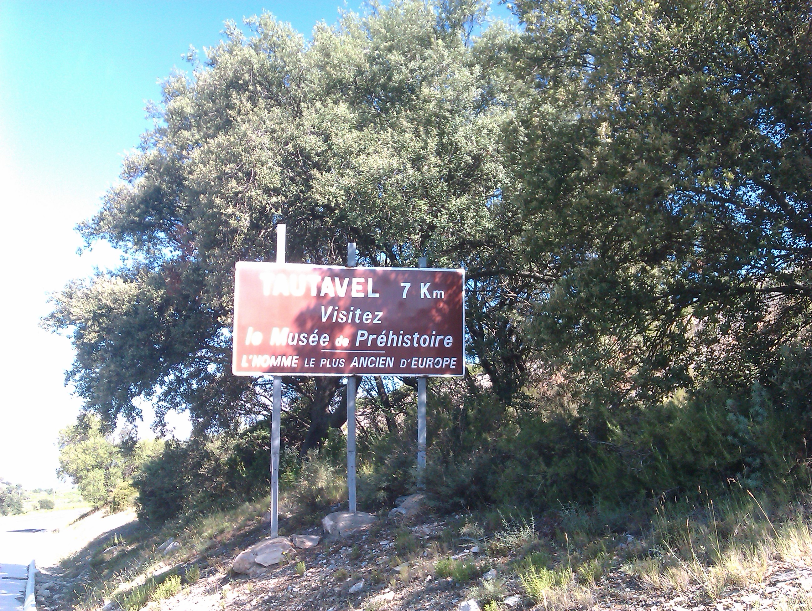 IMAG0430.jpg