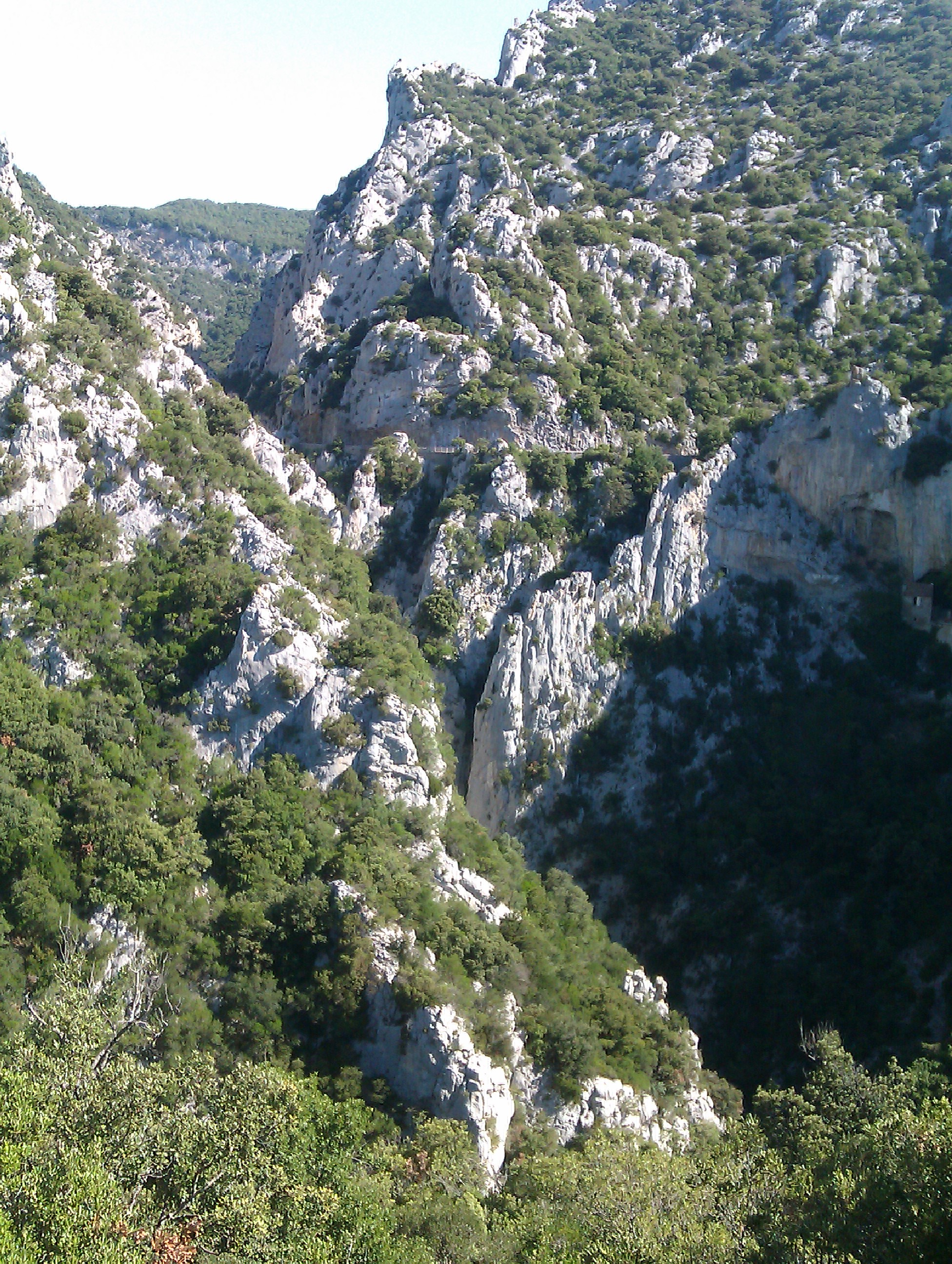 IMAG0434.jpg