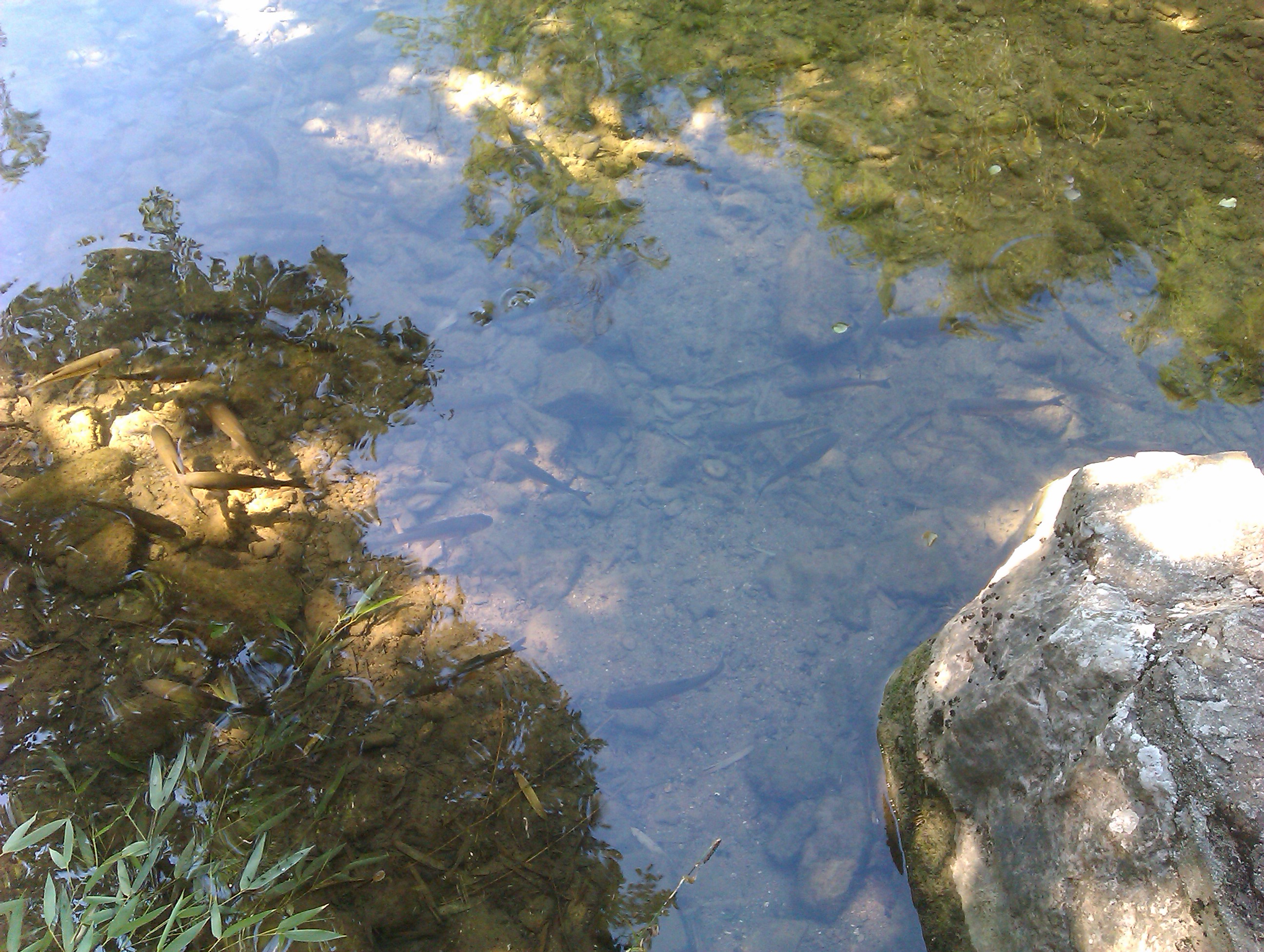 IMAG0437.jpg