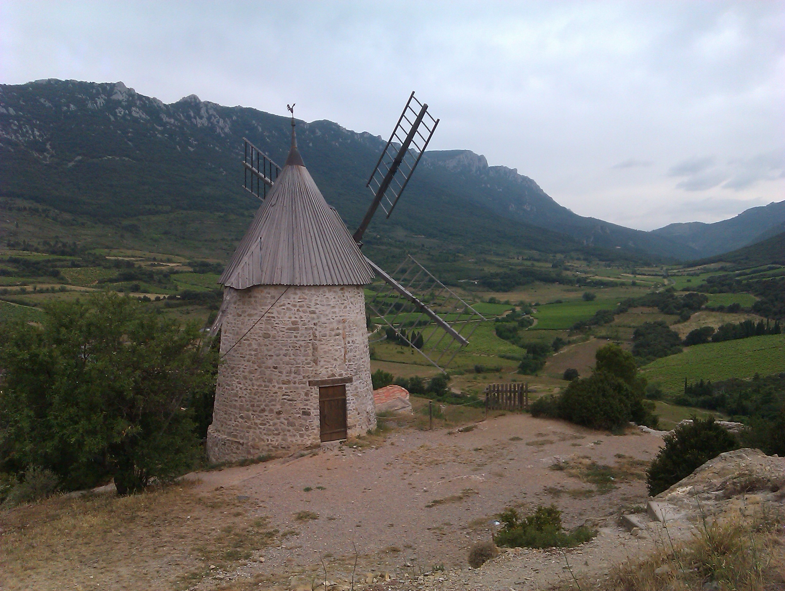 IMAG0442.jpg