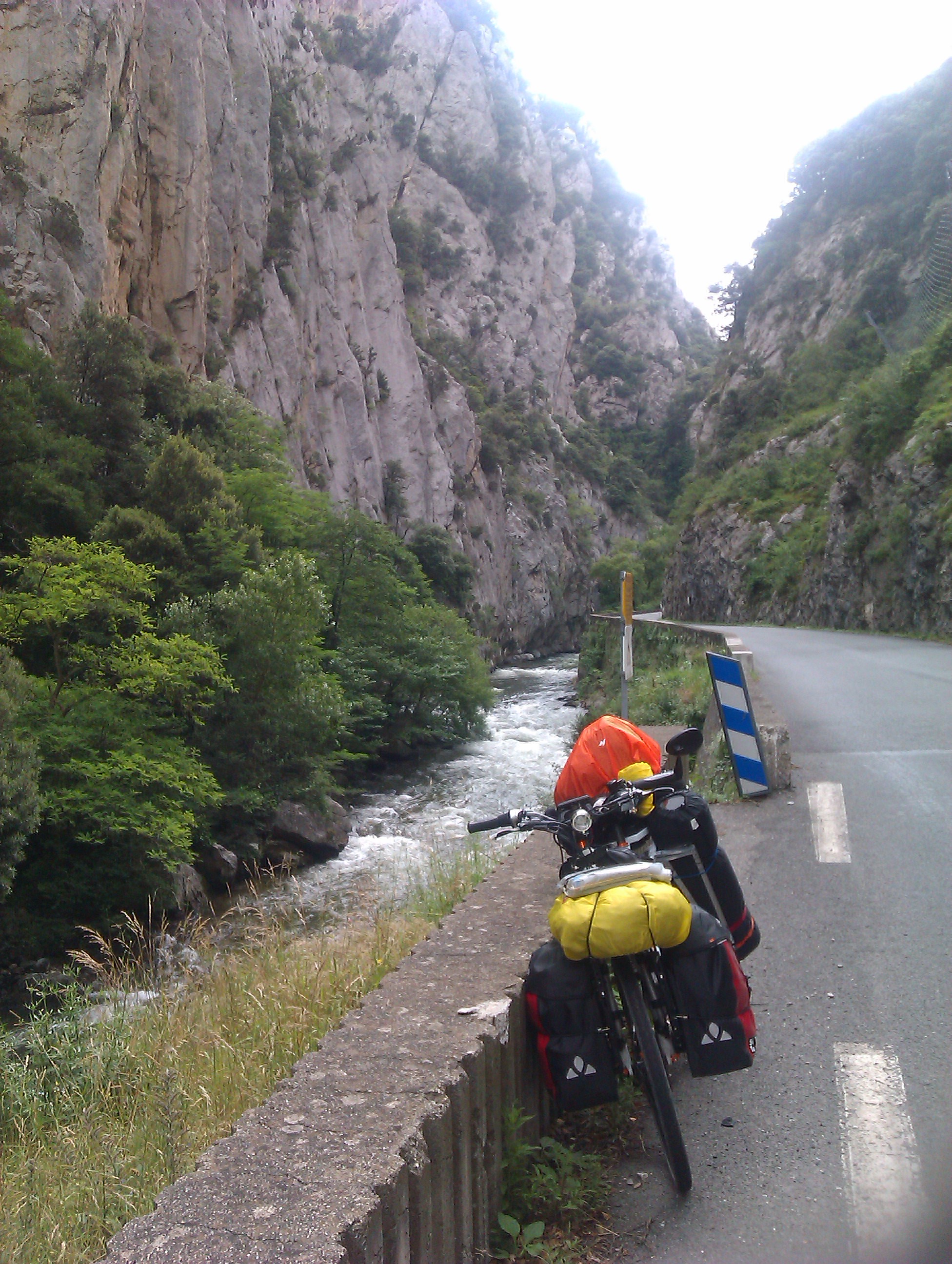 IMAG0445.jpg