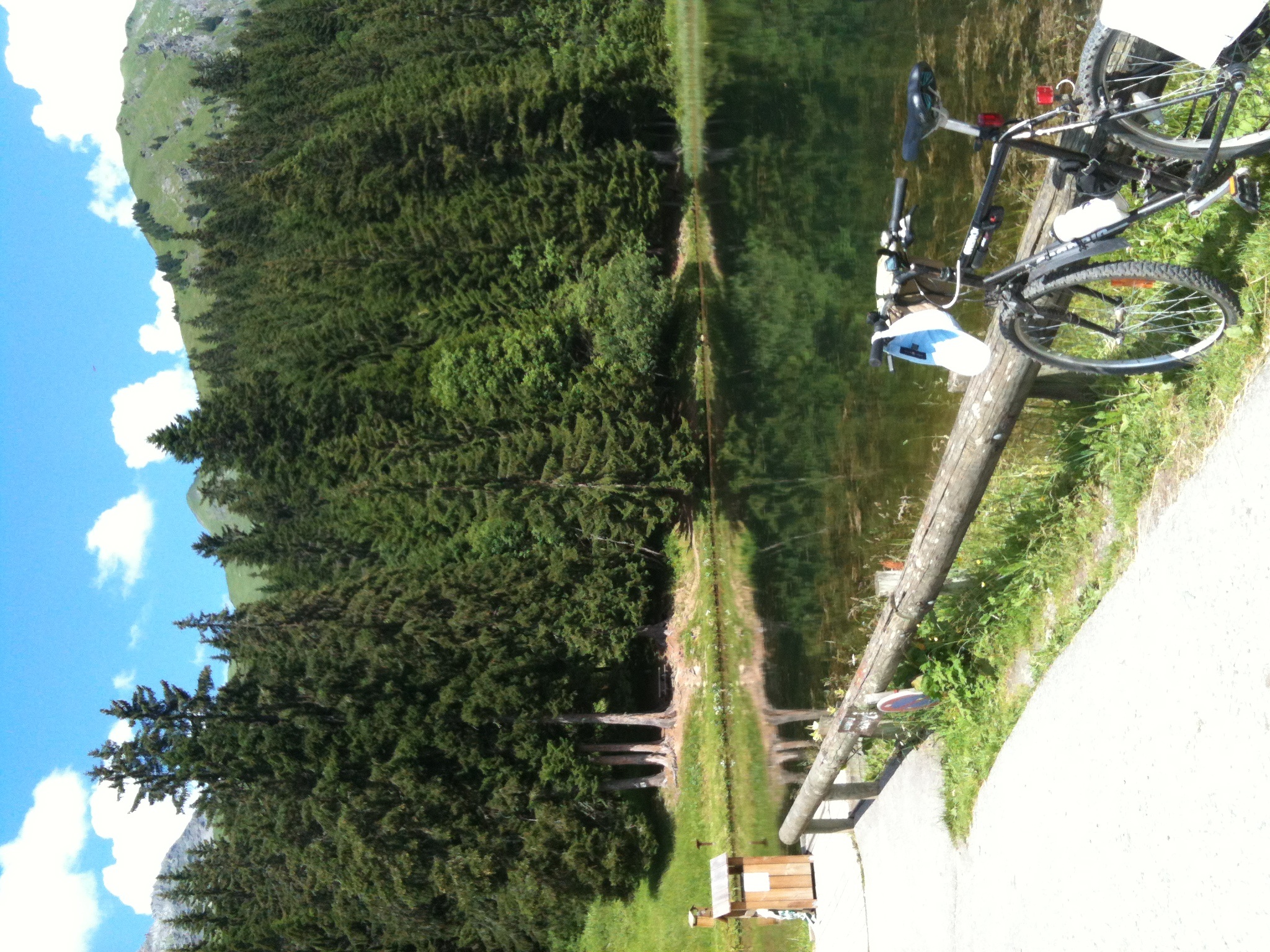 Pointe du Fornet entre les arbres, chère à Bola