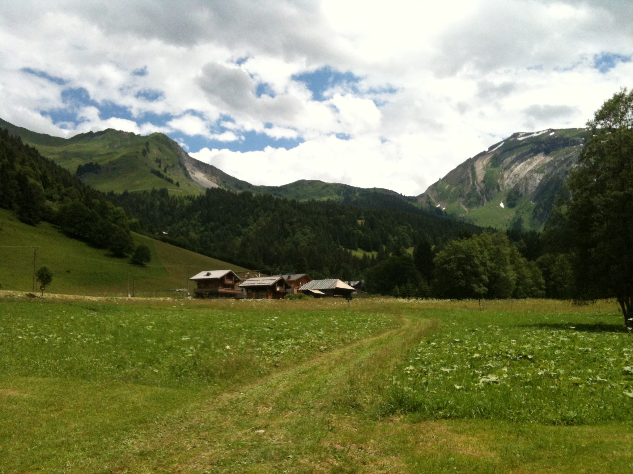 Juste derrière, la Suissie