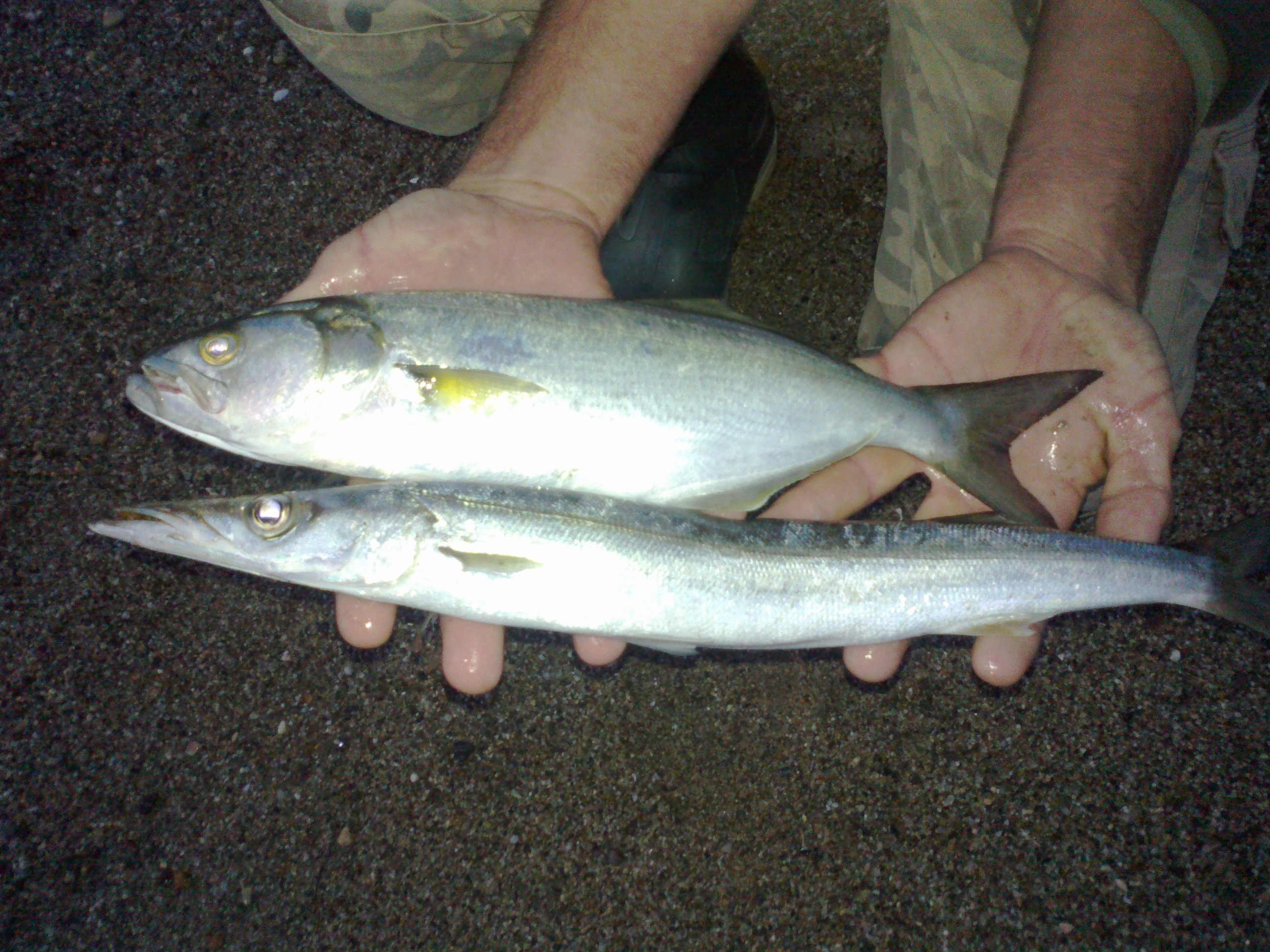 14072014427.jpg