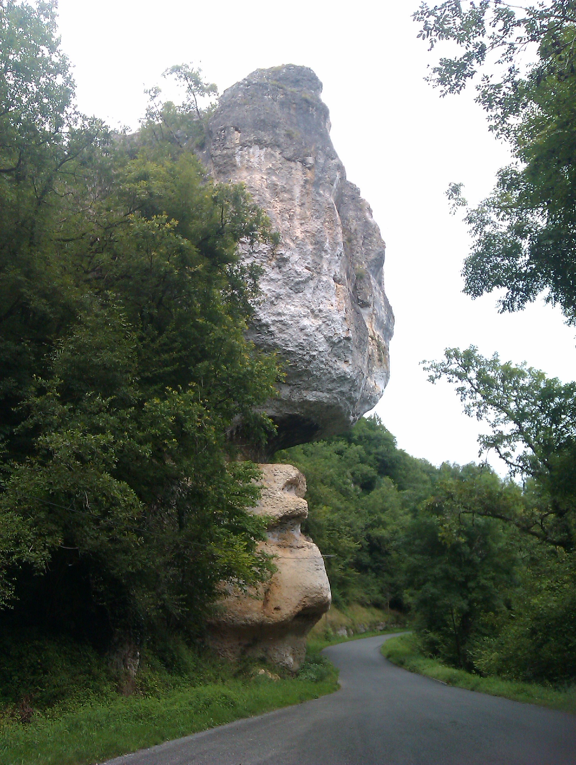 IMAG0519.jpg