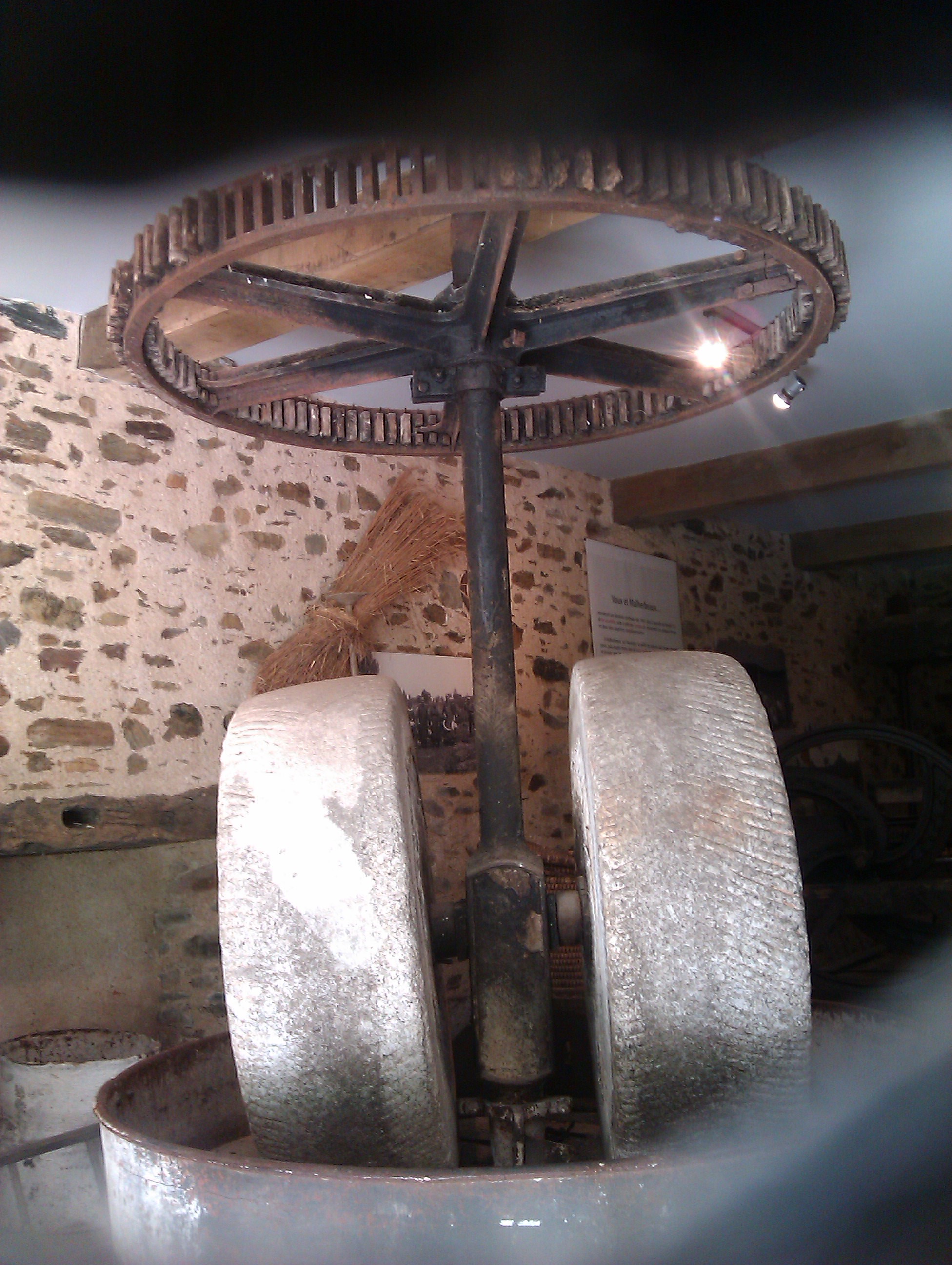 IMAG0531.jpg