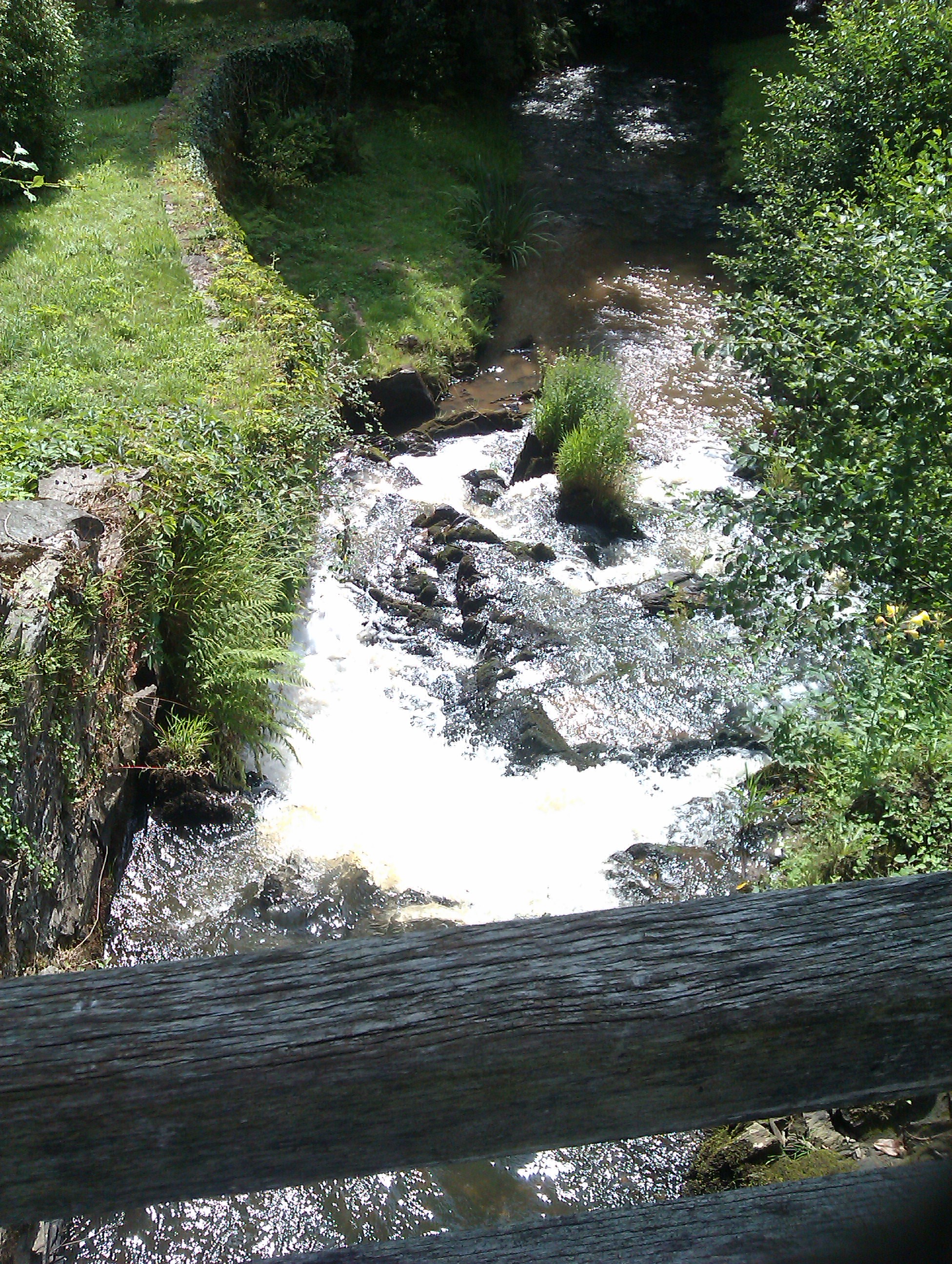 IMAG0532.jpg