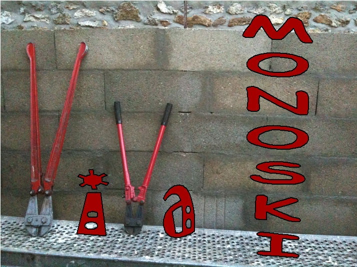 coupe-boulons.jpg