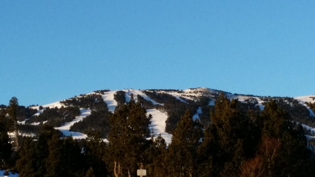 Les pistes, les sapins...